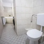 Апартаменти Penthouse Unirii Downtown Free Parking