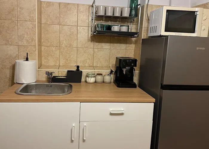 Penthouse Unirii Downtown Free Parking